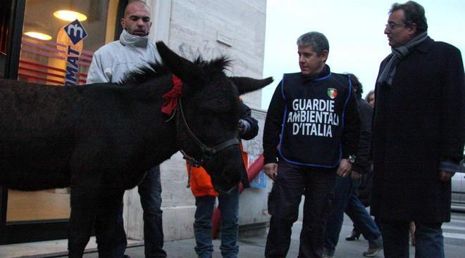Fermato con un asino in via Garibaldi 