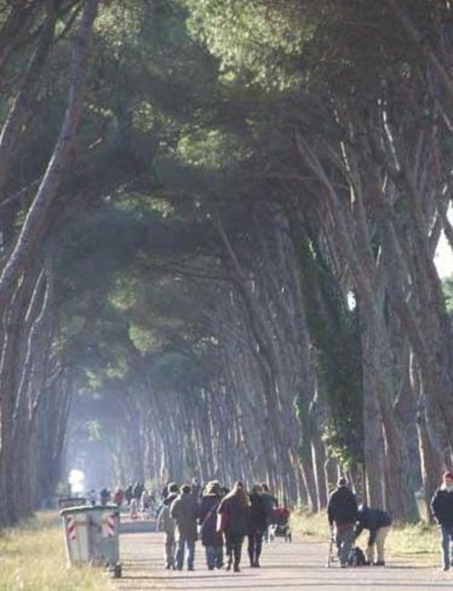 Tempo di bilanci per il consiglio del Parco 