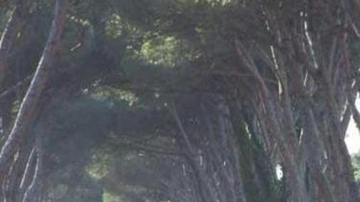 Tempo di bilanci per il consiglio del Parco