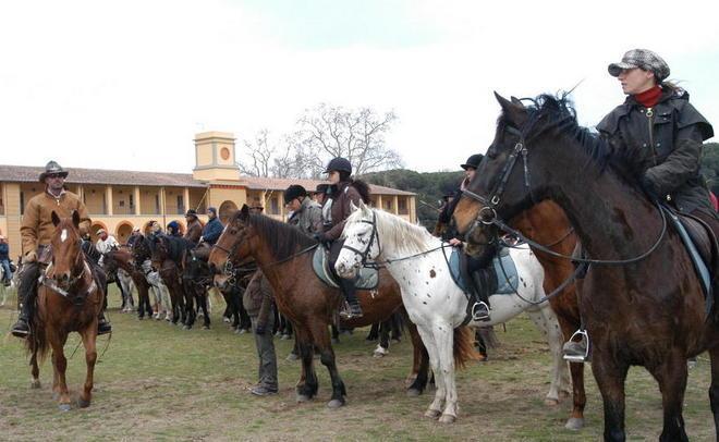 Benedizione degli animali nel parco di San Rossore 