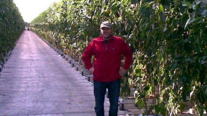 I pomodori che nascono senza bisogno della terra