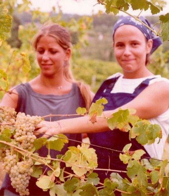 Giovanisì-Fare impresa ecco le storie di chi ce l’ha fatta 