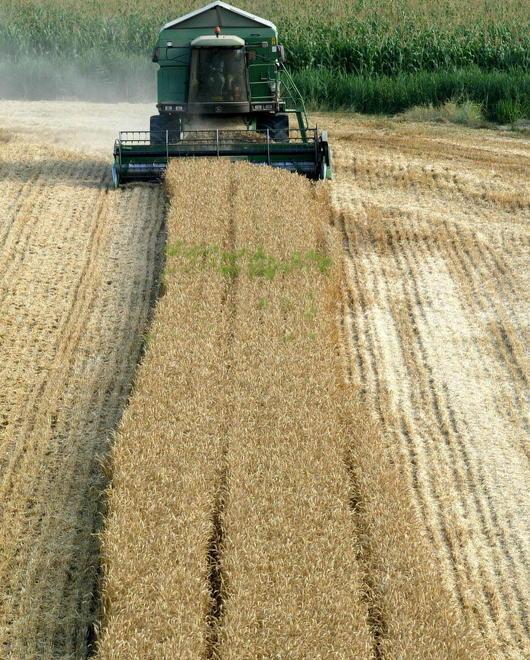 Appello degli agricoltori «Dateci l’Imu al minimo» 
