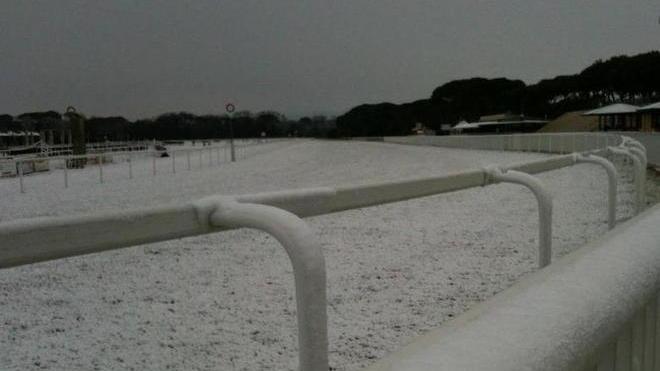Ippodromo di San Rossore, oggi niente corse
