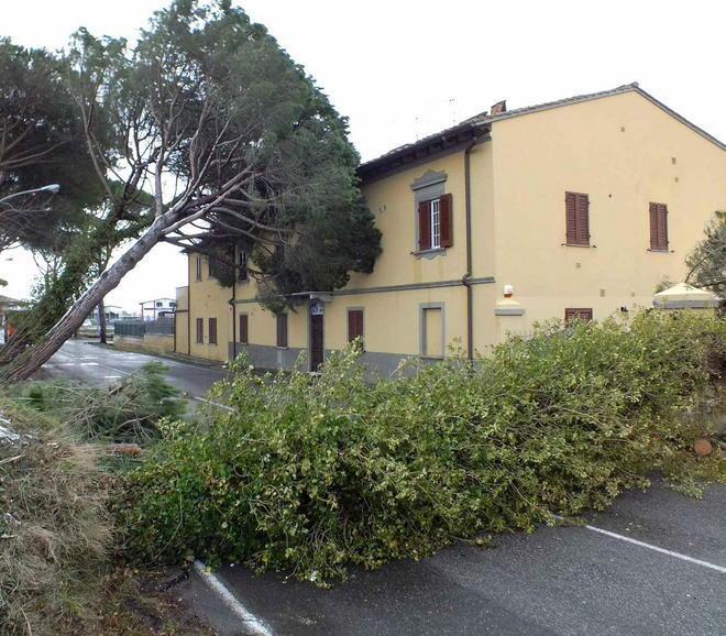 Migliaia senza luce per ore Il blackout colpa del vento 