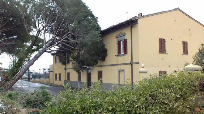 Migliaia senza luce per ore Il blackout colpa del vento
