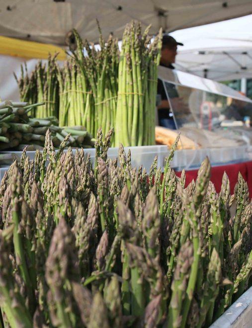 L’Asparago selvatico protagonista della festa 