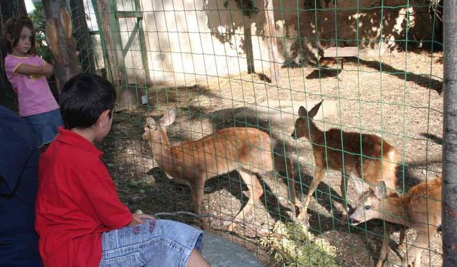 «Niente zoo o luna park dentro il Centro a Galceti» 