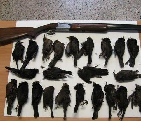 Cacciatore trovato con i merli nel carniere
