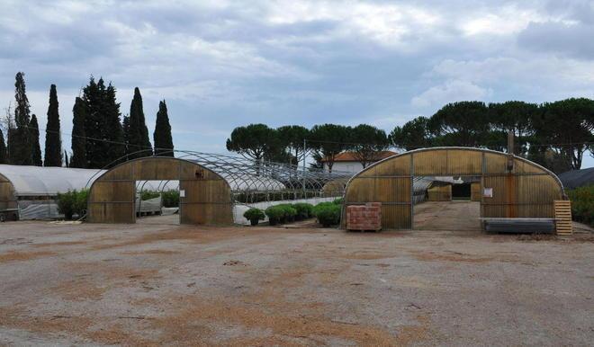 Terme al Terzo, parte la ricerca 