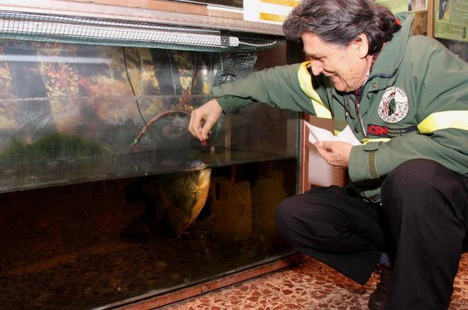 «Agli animali solo le briciole». Caso Galceti: la Procura accusa la famiglia Tozzi 