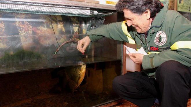 «Agli animali solo le briciole». Caso Galceti: la Procura accusa la famiglia Tozzi
