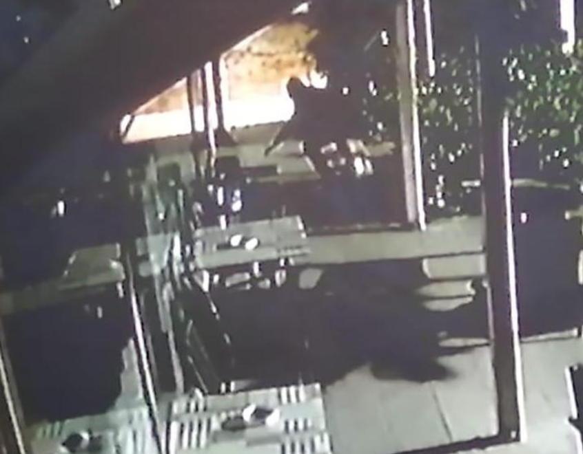 Nel fermo immagine del filmato sullo sfondo si vede uno dei due ladri che sta entrando nel bar