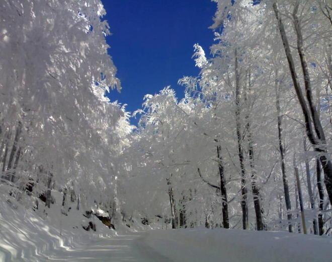 Un tunnel nella neve per salvare un’anziana 