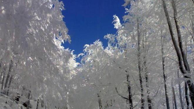 Un tunnel nella neve per salvare un’anziana
