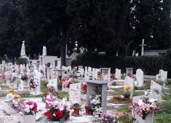 Furto al cimitero, spariti 200 metri quadri di lamiere di rame 