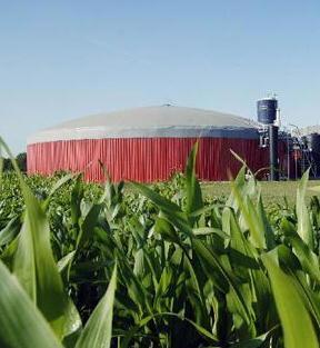 Siveri: «L’impianto a biogas si fa» 