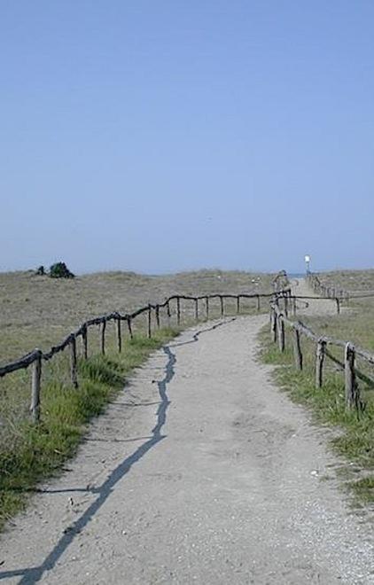 Le dune diventano area protetta 