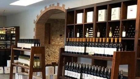 I Vini di Maremma compie 65 anni Un grande brindisi guardando al futuro