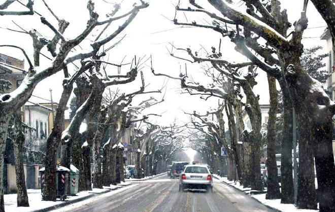 Nuova allerta meteo si teme la neve ma anche il vento