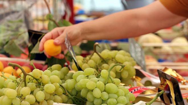 Congelati i prezzi dell’ortofrutta Richieste in calo e pochi rincari