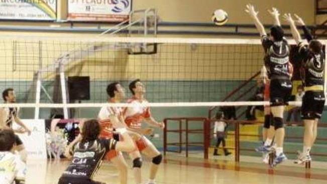 La Pallavolo Massa cerca il riscatto con il Viareggio
