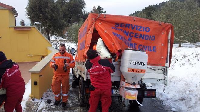 Il lago di Santa Luce è un freezer decine di volatili a rischio ipotermia