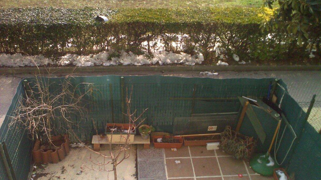 Lancia immondizia nel giardino del vicino, incastrata da un video