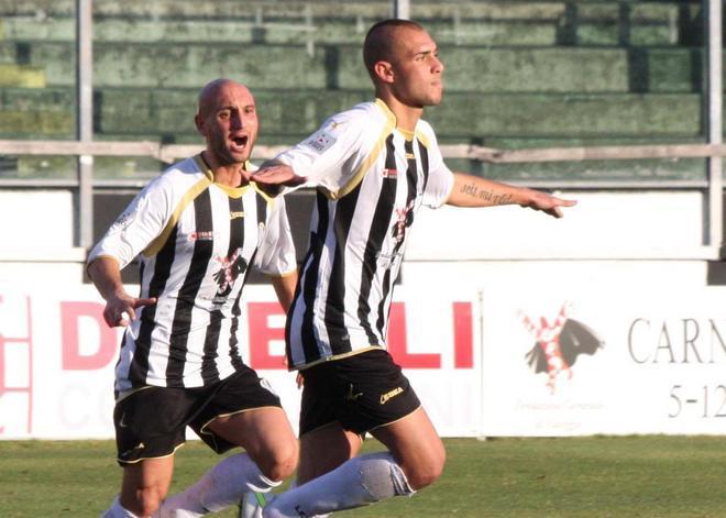 Tegola Kras sulle zebre la formazione è obbligata 