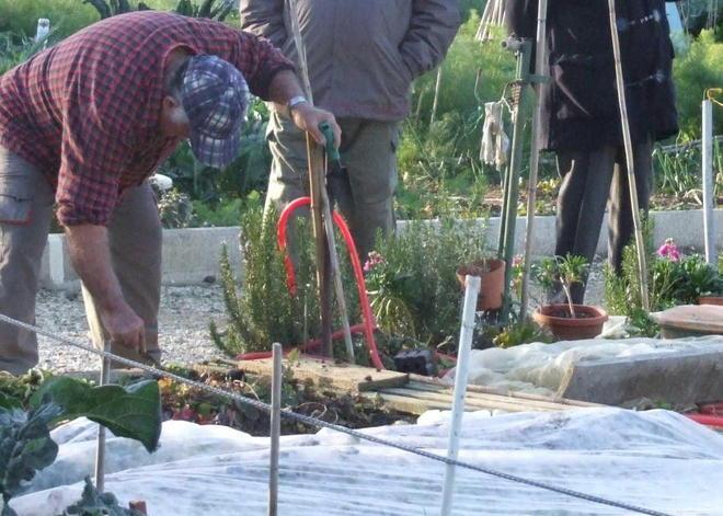 Orti sociali: ecco il bando per ottenerli 