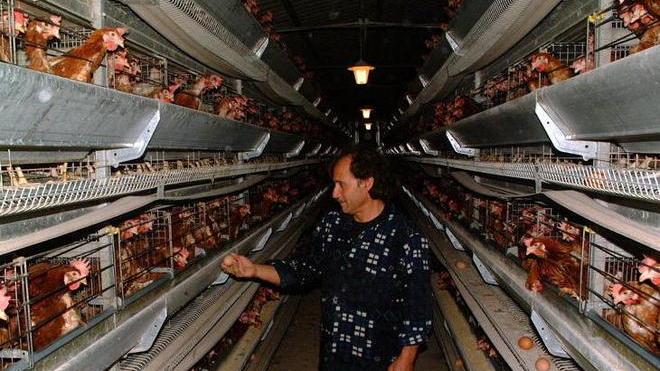 Aziende agricole stangate dall’Imu 10mila euro in più