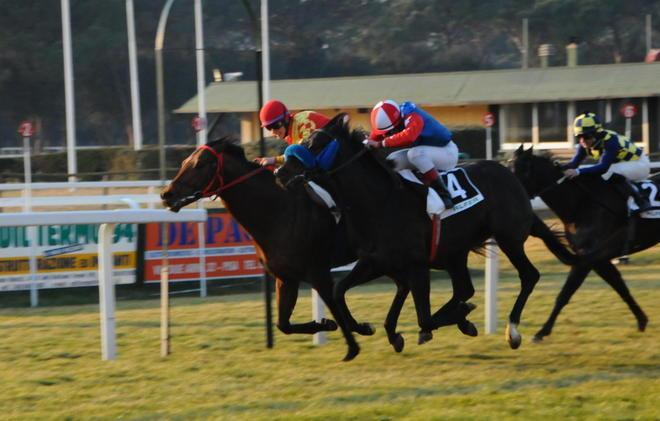 Cavalli in pista ma futuro incerto 