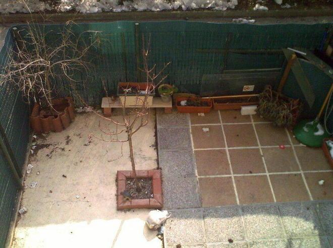 Il giardino della discordia tra accuse reciproche 