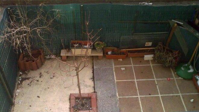 Il giardino della discordia tra accuse reciproche