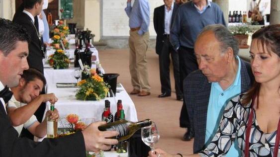 Degustazioni enologiche con “Di Vini Profumi”