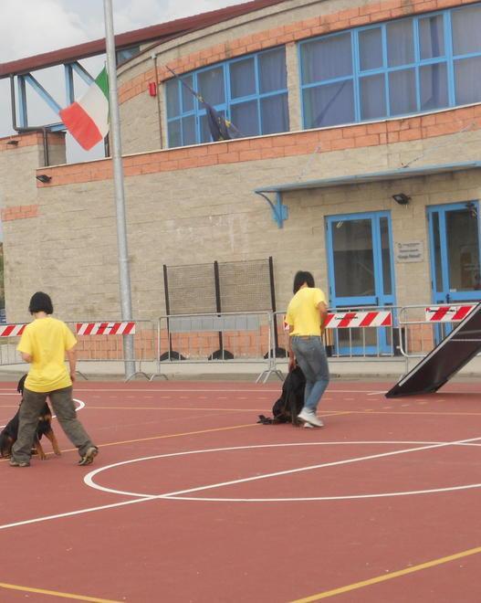 Una gara per gestire gli impianti sportivi 