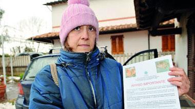 Bastonato e avvelenato, tragica morte di un cane