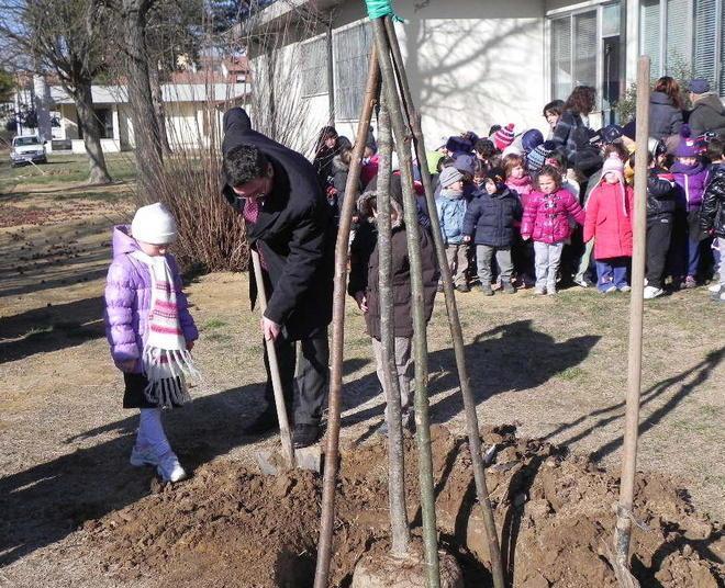 Più verde a scuola Cascina celebra la Festa dell’albero 