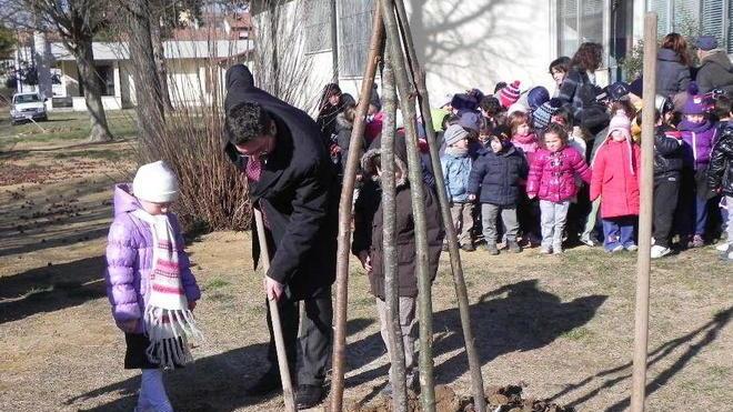 Più verde a scuola Cascina celebra la Festa dell’albero