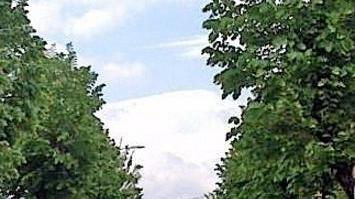 Chiusa per un mese la via Provinciale Negozi in subbuglio