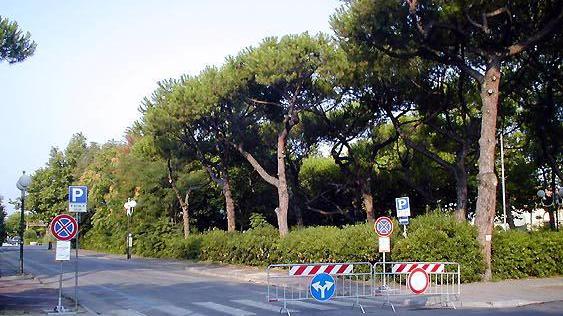 Veleno per topi nel parco giochi di via Matteotti a Forte