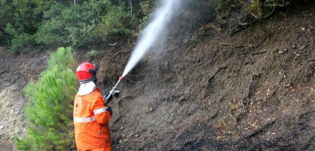 A fuoco il bosco al Santo Fiamme vicino alle case 