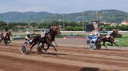 Chiude il centro di allenamento dell'ippodromo Sesana di Montecatini Terme