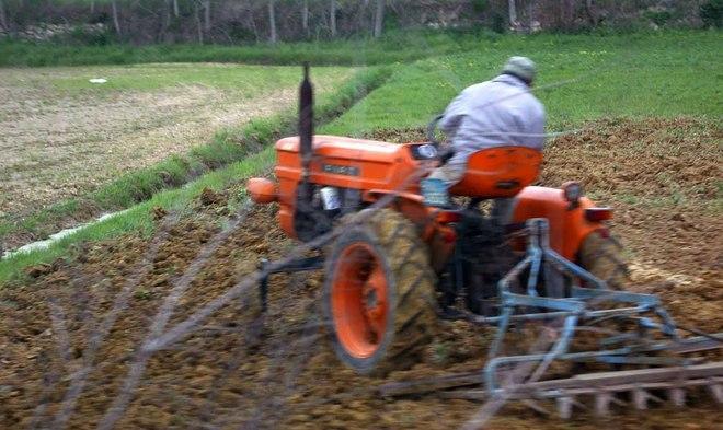 Gli agricoltori si affidano alla filiera corta