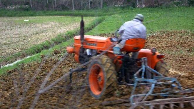 Gli agricoltori si affidano alla filiera corta