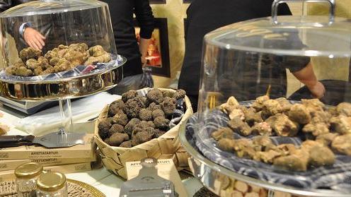 Nascerà la strada del tartufo
