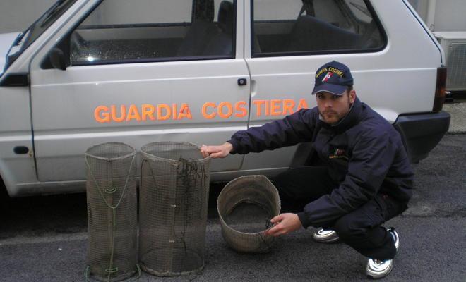 Capitaneria, nasse sequestrate e ceche ributtate in acqua