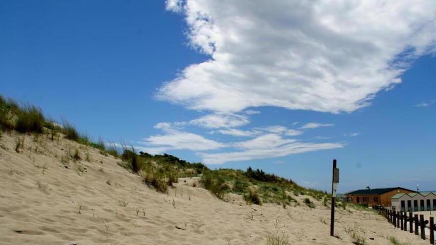 Visite guidate e laboratori alle dune di Tirrenia