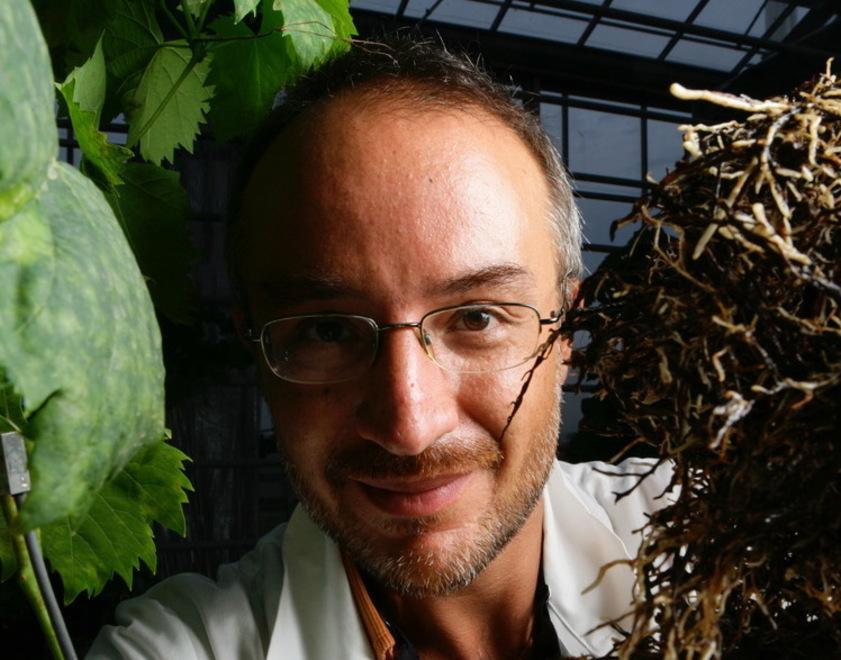 stefano-mancuso-racconta-il-pianeta-delle-piante-gazzetta-di-modena