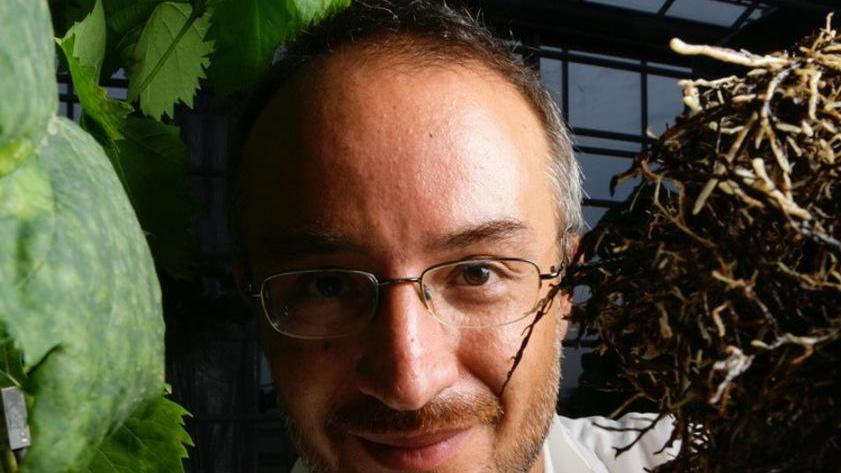 Stefano Mancuso Racconta il Pianeta Delle Piante Gazzetta Di Modena stefano-mancuso-racconta-il-pianeta-delle-piante-gazzetta-di-modena